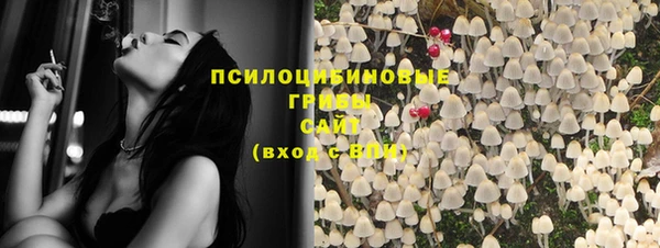 прущие крисы Аркадак
