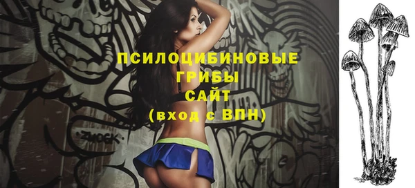 шишки Абинск
