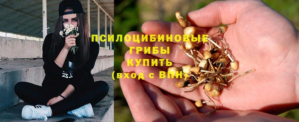 прущие крисы Аркадак